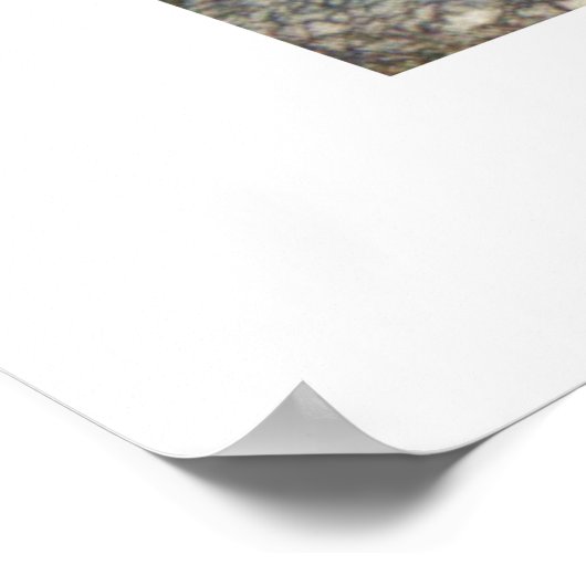 Arthur Rackham - Die Karikaturen der Serpentine Poster (Ecke)