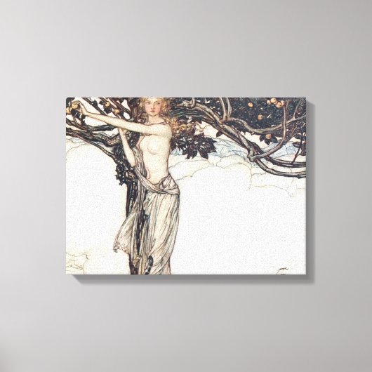 Arthur Rackham Freya The Fair One Leinwanddruck (Vorderseite)