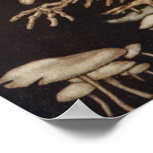 Arthur Rackham | Peter Pan in Kensington Gardens Poster (Ecke)