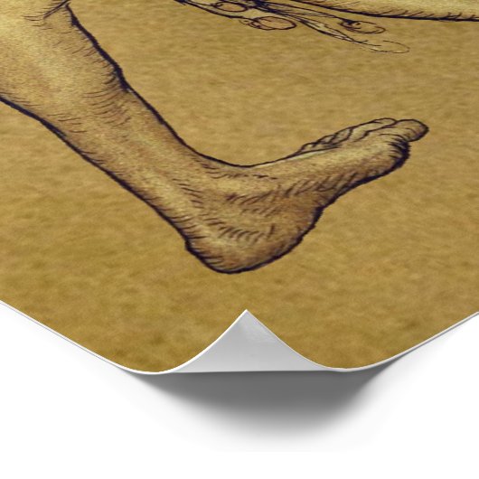 Arthur Rackham Puck Lord, was täuscht CC0950 Small Poster (Ecke)