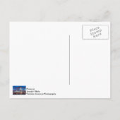 Arthur Ravenel Bridge bei Nacht Postkarte (Rückseite)