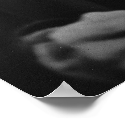 Arthur Schopenhauer Poster (Ecke)