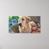 Arthur, September 2025 Leinwanddruck (Vorderseite)