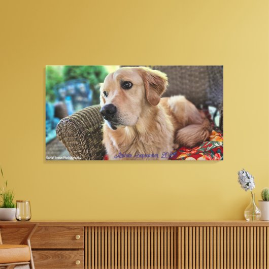 Arthur, September 2025 Leinwanddruck (Insitu (Wohnzimmer))