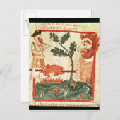 Arthur trifft die riesige Röstung ein Schwein auf Postkarte (Vorne/Hinten)