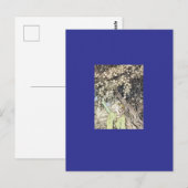 Arthurische Postkarte (Vorne/Hinten)
