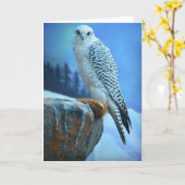 Artic Falcon Greeting Card Karte (Gelbe Blume)