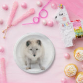 Artic Fox Pappteller (Party)