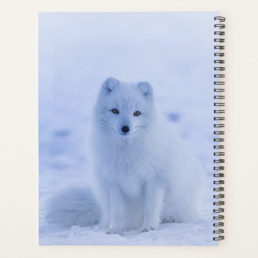 Artic Fox Planer (Rückseite)