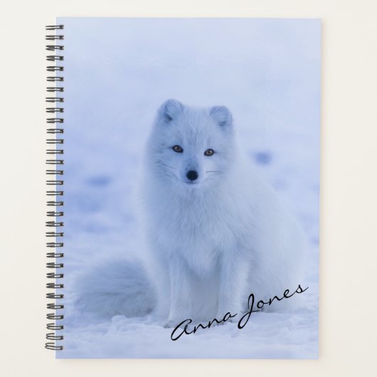 Artic Fox Planer (Vorderseite)
