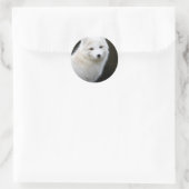Artic Fox Runder Aufkleber (Tasche)