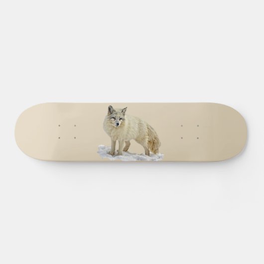 Artic Fox Skateboard (Horizontal)