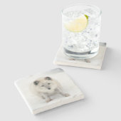 Artic Fox Steinuntersetzer (Seitenansicht)