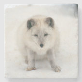 Artic Fox Steinuntersetzer (Vorderseite)