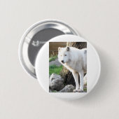 ARTIC WOLF BUTTON (Vorne & Hinten)