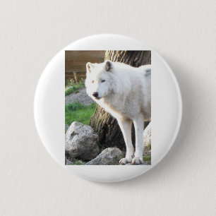 ARTIC WOLF BUTTON