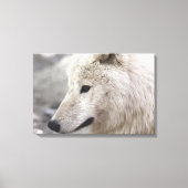 Artic Wolf Lovers Leinwanddruck (Vorderseite)