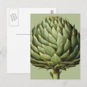 Artichoke, 1613 postkarte (Vorne/Hinten)