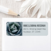 Artichoke Agave Cactus | RÜCKSENDEADRESSE (Insitu)