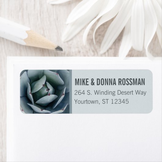 Artichoke Agave Cactus | RÜCKSENDEADRESSE (Insitu)