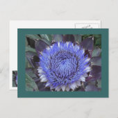 Artichoke Bloom Postcard Postkarte (Vorne/Hinten)