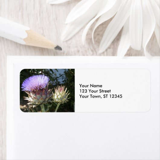 Artichoke Blume (Insitu)