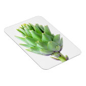 Artichoke Magnet (Rechte Seite)