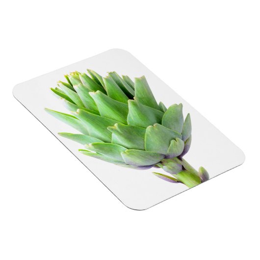 Artichoke Magnet (Rechte Seite)