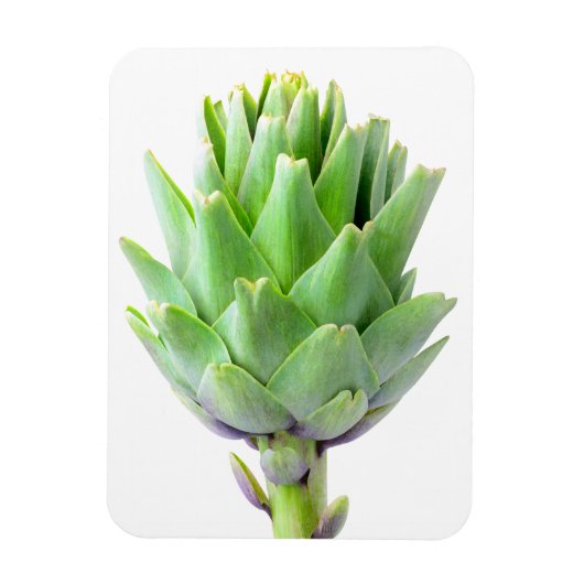 Artichoke Magnet (Vertikal)