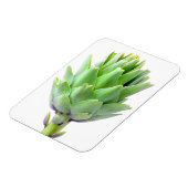 Artichoke Magnet (Linke Seite)