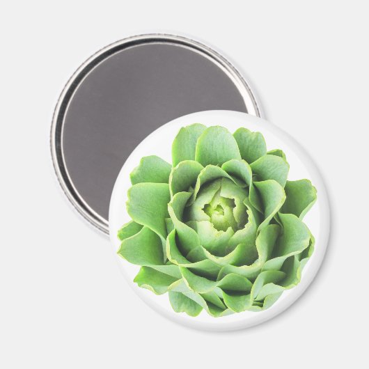 Artichoke Magnet (Vorderseite/Rückseite)