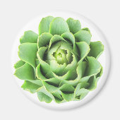 Artichoke Magnet (Vorne)