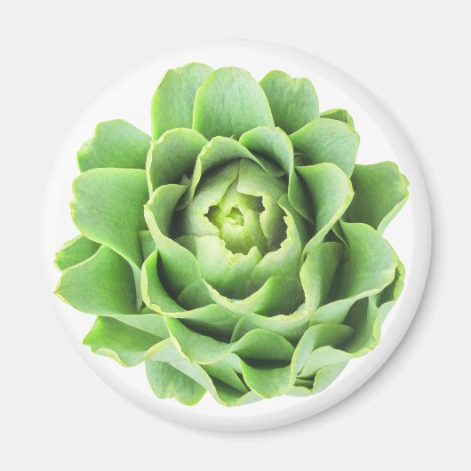 Artichoke Magnet (Vorne)