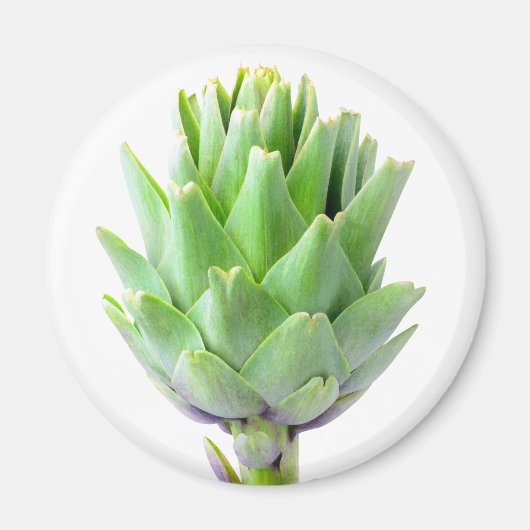 Artichoke Magnet (Vorne)