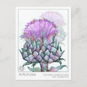 Artichoke Materia Medica Cards Kräuterstudie Pflan Postkarte (Vorderseite)