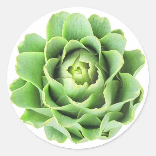 Artichoke Runder Aufkleber (Vorderseite)