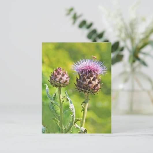 Artichoke Thistle Postkarte (Stehend Vorderseite)