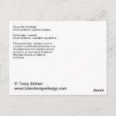 Artichoke und Lavender Postcard Postkarte (Rückseite)