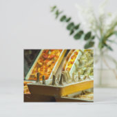 Artichokes, bereit zum Essen Postkarte (Stehend Vorderseite)