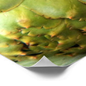 Artichokes Poster (Ecke)