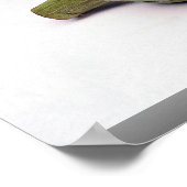 Artichokes Poster (Ecke)