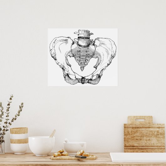 Articulated Pelvis Poster (Küche)