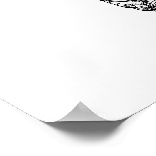 Articulated Pelvis Poster (Ecke)