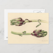 Artikel 2005 postkarte (Vorne/Hinten)