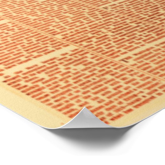 Artikel der Amelia Earhart Newspaper Front Poster (Ecke)