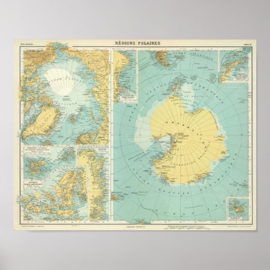 Artis, Antarktis Poster (Vorne)