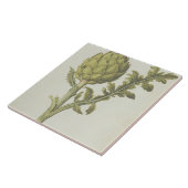 Artischocke: Cynara Scolymus, c.1568 Fliese (Seite)
