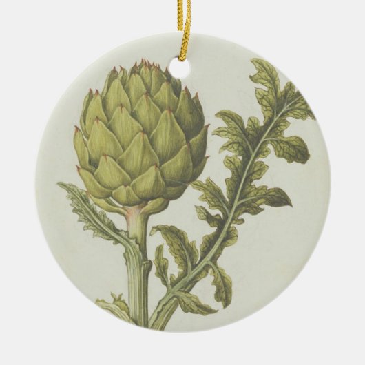 Artischocke: Cynara Scolymus, c.1568 Keramikornament (Vorne)