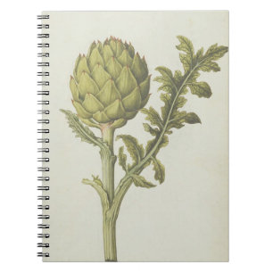 Artischocke: Cynara Scolymus, c.1568 Notizblock