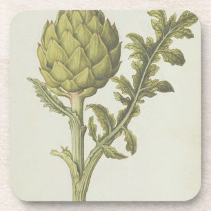 Artischocke: Cynara Scolymus, c.1568 Untersetzer